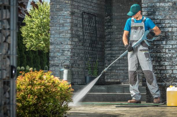 Best Driveway Cleaning and Restoration in Wliamsvle, IL