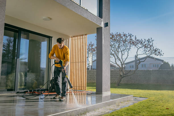 Best Concrete Surface Cleaning in Wliamsvle, IL